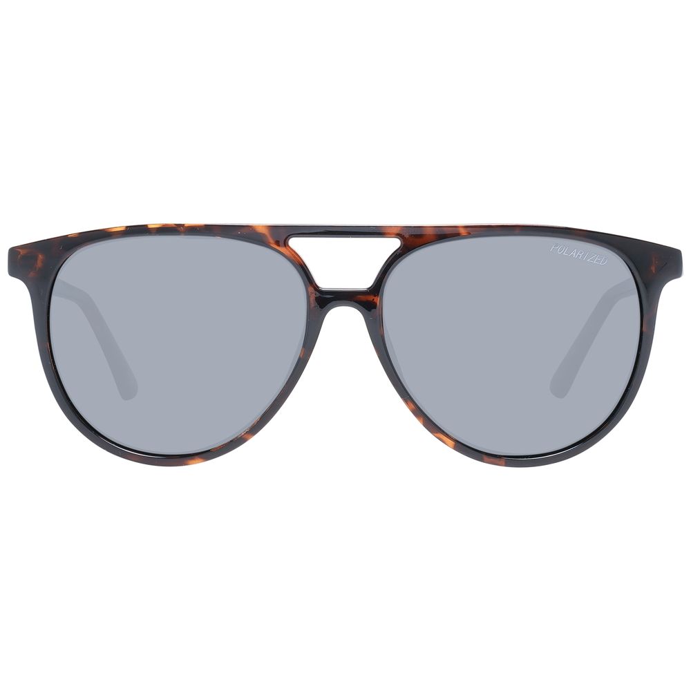 Brown Plastic Sunglasses