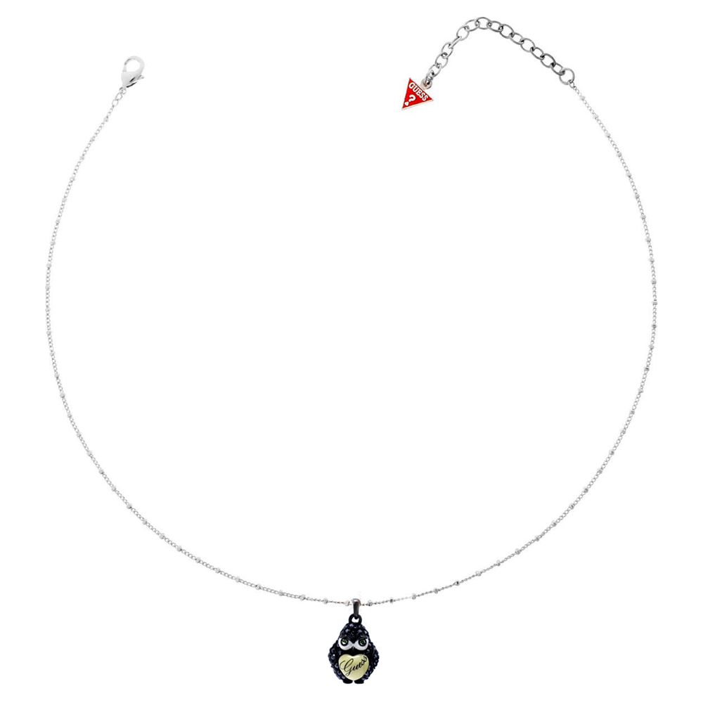 Transparent Stainless Steel Necklace