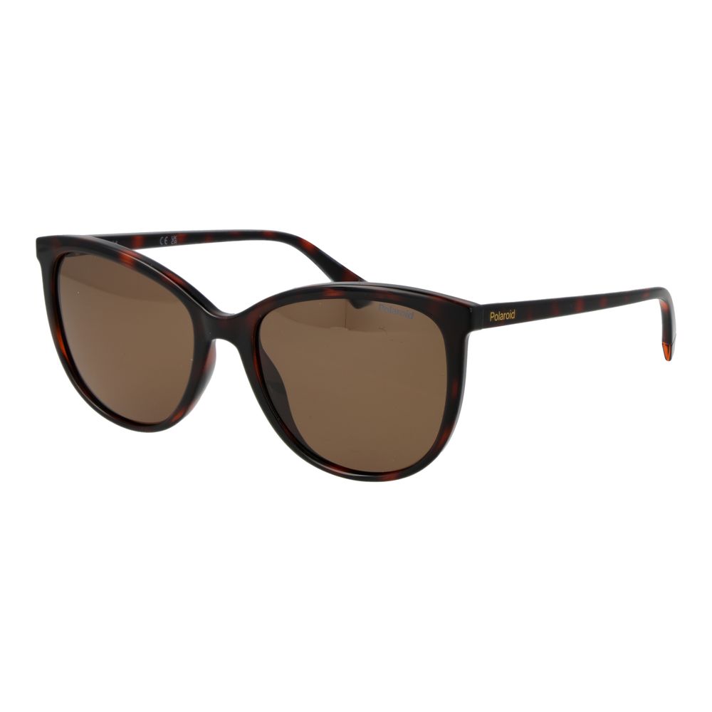 Brown Plastic Sunglasses