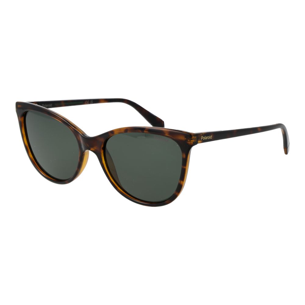 Brown Plastic Sunglasses