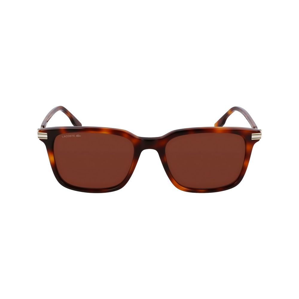 Brown Acetate Sunglasses