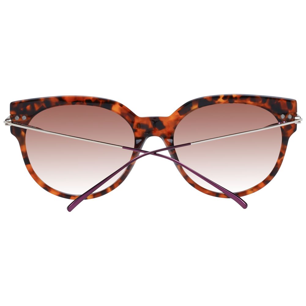 Brown Acetate Sunglasses
