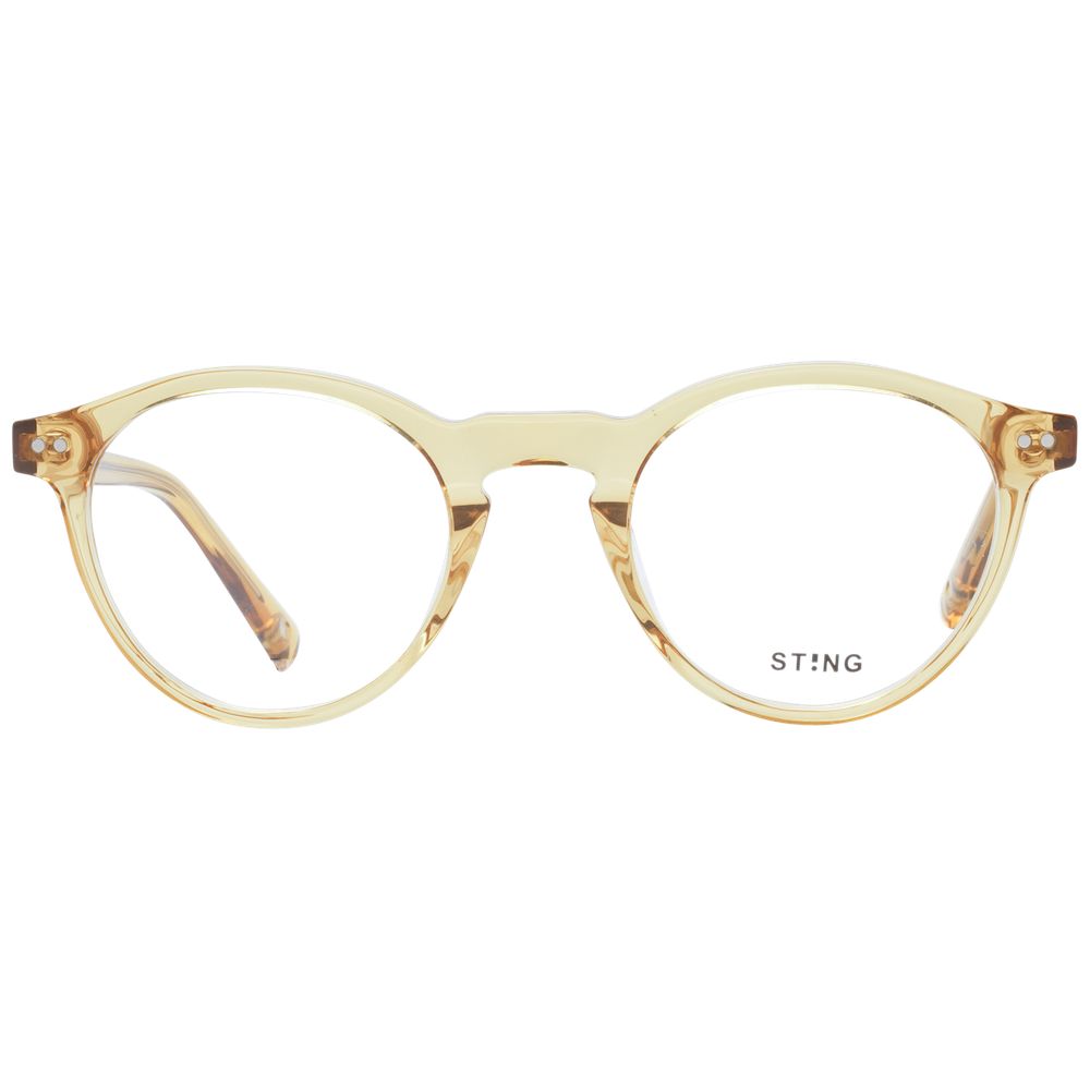 Brown Acetate & Plastic Glasses (Frames)